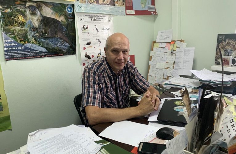 «Ахова птушак Бацькаўшчыны»: кто и как охраняет птиц в Беларуси