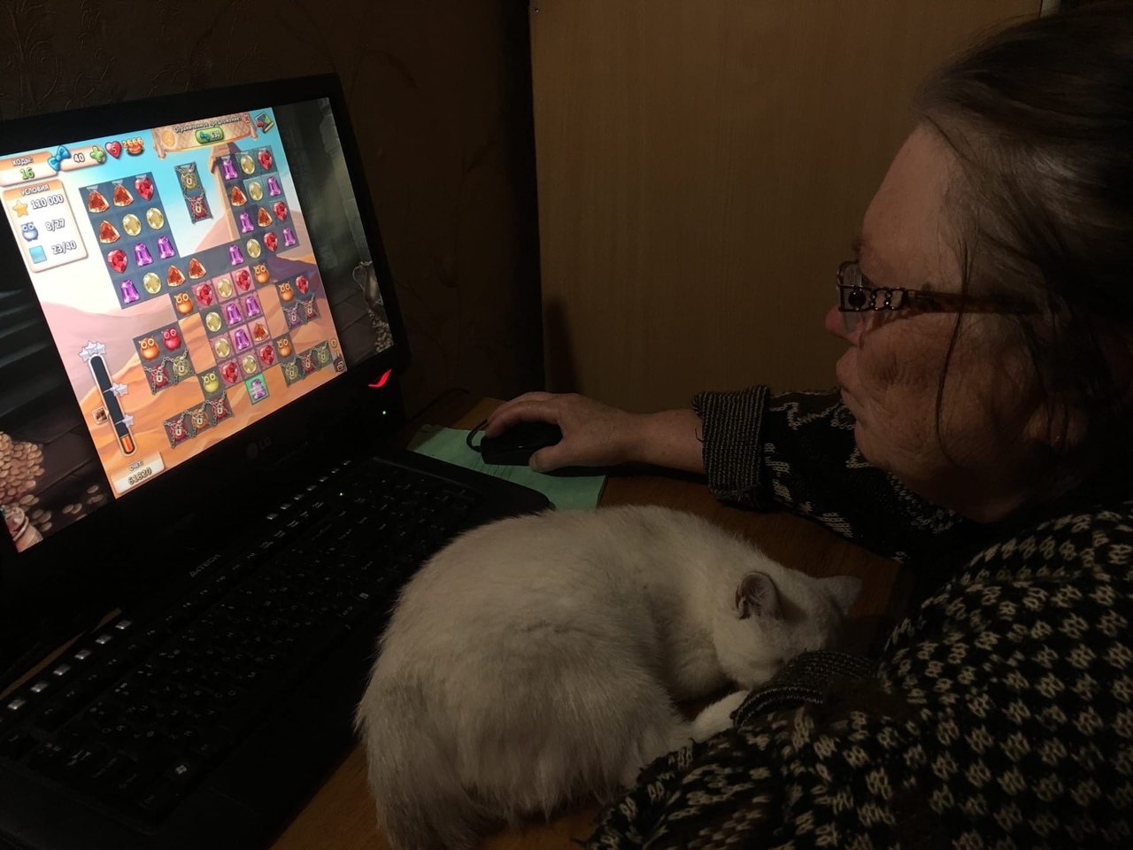Как достичь 2666 уровня в онлайн-игре «Инди Кот»? Объясняет на пальцах пенсионерка Елена Чимбур 9